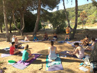 atelier Reiki, massage, soin énergétique Atelier  Yoga, méditation et soin énergétique  + Picnic sur l'Ile du Lac du Bois de Boulogne de 10h à 14h - 5 Euros par personne