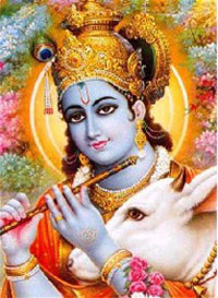 Krishna   