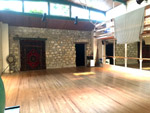 Stage de Yoga à Paris, Pétia pressiana